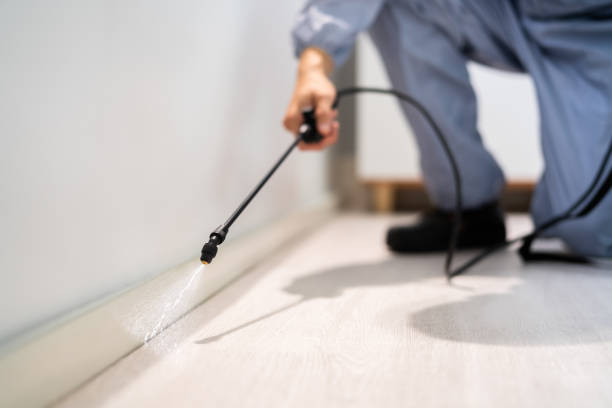 Bed Bug Pre-Treatment Preparation Assessment in Carrington