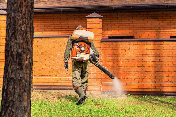 Bed Bug Clearance Verification and Documentation in Carrington